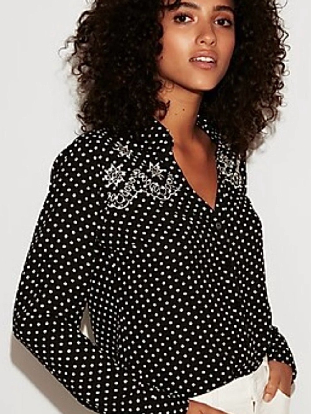 Express Portofino Slim Fit Embroidered Shirt